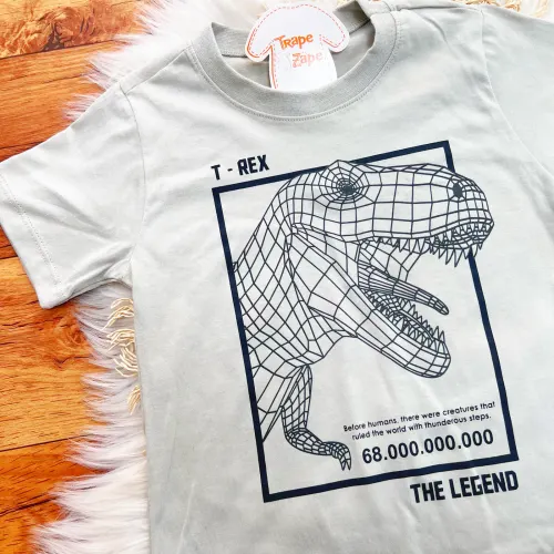 Conj. Camiseta T-REX e Bermuda - Cinza